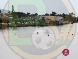 
<a style='margin-left: 5px;' class='btn btn-xs btn-social btn-facebook' href='https://www.facebook.com/sharer/sharer.php?u=https://www.boladovale.com.br/imgs/800-800-90/conteudo/fotos/1421/img6487.jpg' rel='popup' data-width='500' data-height='400'><i class='fa fa-facebook'></i>Compartilhar <span class='hidden-xs'>no Facebook</span>
</a> 
<a class='btn btn-default btn-xs' target='_blank' href='imgs/800-800-90/conteudo/fotos/1421/img6487.jpg'>
<span class='glyphicon glyphicon-cloud-download'></span> Salvar
</a> 
<span></span>