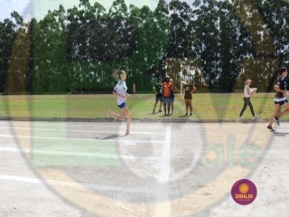 
<a style='margin-left: 5px;' class='btn btn-xs btn-social btn-facebook' href='https://www.facebook.com/sharer/sharer.php?u=https://www.boladovale.com.br/imgs/800-800-90/conteudo/fotos/1422/img0090-14.jpg' rel='popup' data-width='500' data-height='400'><i class='fa fa-facebook'></i>Compartilhar <span class='hidden-xs'>no Facebook</span>
</a> 
<a class='btn btn-default btn-xs' target='_blank' href='imgs/800-800-90/conteudo/fotos/1422/img0090-14.jpg'>
<span class='glyphicon glyphicon-cloud-download'></span> Salvar
</a> 
<span></span>