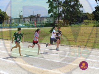 
<a style='margin-left: 5px;' class='btn btn-xs btn-social btn-facebook' href='https://www.facebook.com/sharer/sharer.php?u=https://www.boladovale.com.br/imgs/800-800-90/conteudo/fotos/1422/img0090-18.jpg' rel='popup' data-width='500' data-height='400'><i class='fa fa-facebook'></i>Compartilhar <span class='hidden-xs'>no Facebook</span>
</a> 
<a class='btn btn-default btn-xs' target='_blank' href='imgs/800-800-90/conteudo/fotos/1422/img0090-18.jpg'>
<span class='glyphicon glyphicon-cloud-download'></span> Salvar
</a> 
<span></span>