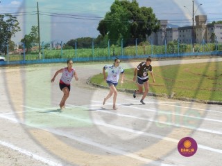 
<a style='margin-left: 5px;' class='btn btn-xs btn-social btn-facebook' href='https://www.facebook.com/sharer/sharer.php?u=https://www.boladovale.com.br/imgs/800-800-90/conteudo/fotos/1422/img0090-22.jpg' rel='popup' data-width='500' data-height='400'><i class='fa fa-facebook'></i>Compartilhar <span class='hidden-xs'>no Facebook</span>
</a> 
<a class='btn btn-default btn-xs' target='_blank' href='imgs/800-800-90/conteudo/fotos/1422/img0090-22.jpg'>
<span class='glyphicon glyphicon-cloud-download'></span> Salvar
</a> 
<span></span>