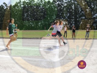 
<a style='margin-left: 5px;' class='btn btn-xs btn-social btn-facebook' href='https://www.facebook.com/sharer/sharer.php?u=https://www.boladovale.com.br/imgs/800-800-90/conteudo/fotos/1422/img0090-4.jpg' rel='popup' data-width='500' data-height='400'><i class='fa fa-facebook'></i>Compartilhar <span class='hidden-xs'>no Facebook</span>
</a> 
<a class='btn btn-default btn-xs' target='_blank' href='imgs/800-800-90/conteudo/fotos/1422/img0090-4.jpg'>
<span class='glyphicon glyphicon-cloud-download'></span> Salvar
</a> 
<span></span>