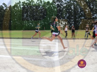 
<a style='margin-left: 5px;' class='btn btn-xs btn-social btn-facebook' href='https://www.facebook.com/sharer/sharer.php?u=https://www.boladovale.com.br/imgs/800-800-90/conteudo/fotos/1422/img0090-7.jpg' rel='popup' data-width='500' data-height='400'><i class='fa fa-facebook'></i>Compartilhar <span class='hidden-xs'>no Facebook</span>
</a> 
<a class='btn btn-default btn-xs' target='_blank' href='imgs/800-800-90/conteudo/fotos/1422/img0090-7.jpg'>
<span class='glyphicon glyphicon-cloud-download'></span> Salvar
</a> 
<span></span>