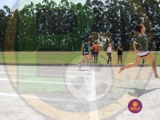 
<a style='margin-left: 5px;' class='btn btn-xs btn-social btn-facebook' href='https://www.facebook.com/sharer/sharer.php?u=https://www.boladovale.com.br/imgs/800-800-90/conteudo/fotos/1422/img0090-9.jpg' rel='popup' data-width='500' data-height='400'><i class='fa fa-facebook'></i>Compartilhar <span class='hidden-xs'>no Facebook</span>
</a> 
<a class='btn btn-default btn-xs' target='_blank' href='imgs/800-800-90/conteudo/fotos/1422/img0090-9.jpg'>
<span class='glyphicon glyphicon-cloud-download'></span> Salvar
</a> 
<span></span>