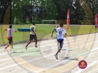
<a style='margin-left: 5px;' class='btn btn-xs btn-social btn-facebook' href='https://www.facebook.com/sharer/sharer.php?u=https://www.boladovale.com.br/imgs/800-800-90/conteudo/fotos/1423/img6535.jpg' rel='popup' data-width='500' data-height='400'><i class='fa fa-facebook'></i>Compartilhar <span class='hidden-xs'>no Facebook</span>
</a> 
<a class='btn btn-default btn-xs' target='_blank' href='imgs/800-800-90/conteudo/fotos/1423/img6535.jpg'>
<span class='glyphicon glyphicon-cloud-download'></span> Salvar
</a> 
<span></span>