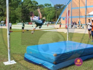 
<a style='margin-left: 5px;' class='btn btn-xs btn-social btn-facebook' href='https://www.facebook.com/sharer/sharer.php?u=https://www.boladovale.com.br/imgs/800-800-90/conteudo/fotos/1427/img6699.jpg' rel='popup' data-width='500' data-height='400'><i class='fa fa-facebook'></i>Compartilhar <span class='hidden-xs'>no Facebook</span>
</a> 
<a class='btn btn-default btn-xs' target='_blank' href='imgs/800-800-90/conteudo/fotos/1427/img6699.jpg'>
<span class='glyphicon glyphicon-cloud-download'></span> Salvar
</a> 
<span></span>