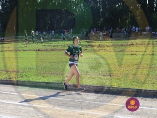 
<a style='margin-left: 5px;' class='btn btn-xs btn-social btn-facebook' href='https://www.facebook.com/sharer/sharer.php?u=https://www.boladovale.com.br/imgs/800-800-90/conteudo/fotos/1428/img6954.jpg' rel='popup' data-width='500' data-height='400'><i class='fa fa-facebook'></i>Compartilhar <span class='hidden-xs'>no Facebook</span>
</a> 
<a class='btn btn-default btn-xs' target='_blank' href='imgs/800-800-90/conteudo/fotos/1428/img6954.jpg'>
<span class='glyphicon glyphicon-cloud-download'></span> Salvar
</a> 
<span></span>