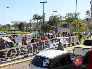 
<a style='margin-left: 5px;' class='btn btn-xs btn-social btn-facebook' href='https://www.facebook.com/sharer/sharer.php?u=https://www.boladovale.com.br/imgs/800-800-90/conteudo/fotos/1448/img8946.jpg' rel='popup' data-width='500' data-height='400'><i class='fa fa-facebook'></i>Compartilhar <span class='hidden-xs'>no Facebook</span>
</a> 
<a class='btn btn-default btn-xs' target='_blank' href='imgs/800-800-90/conteudo/fotos/1448/img8946.jpg'>
<span class='glyphicon glyphicon-cloud-download'></span> Salvar
</a> 
<span></span>