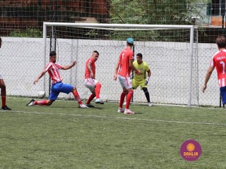 
<a style='margin-left: 5px;' class='btn btn-xs btn-social btn-facebook' href='https://www.facebook.com/sharer/sharer.php?u=https://www.boladovale.com.br/imgs/800-800-90/conteudo/fotos/1449/img0454.jpg' rel='popup' data-width='500' data-height='400'><i class='fa fa-facebook'></i>Compartilhar <span class='hidden-xs'>no Facebook</span>
</a> 
<a class='btn btn-default btn-xs' target='_blank' href='imgs/800-800-90/conteudo/fotos/1449/img0454.jpg'>
<span class='glyphicon glyphicon-cloud-download'></span> Salvar
</a> 
<span></span>