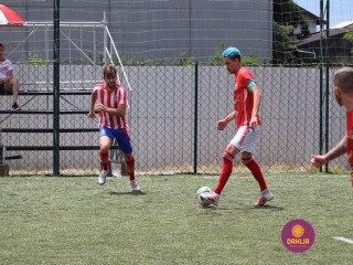 
<a style='margin-left: 5px;' class='btn btn-xs btn-social btn-facebook' href='https://www.facebook.com/sharer/sharer.php?u=https://www.boladovale.com.br/imgs/800-800-90/conteudo/fotos/1449/img0455.jpg' rel='popup' data-width='500' data-height='400'><i class='fa fa-facebook'></i>Compartilhar <span class='hidden-xs'>no Facebook</span>
</a> 
<a class='btn btn-default btn-xs' target='_blank' href='imgs/800-800-90/conteudo/fotos/1449/img0455.jpg'>
<span class='glyphicon glyphicon-cloud-download'></span> Salvar
</a> 
<span></span>