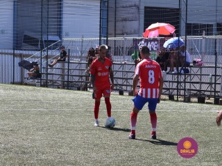 
<a style='margin-left: 5px;' class='btn btn-xs btn-social btn-facebook' href='https://www.facebook.com/sharer/sharer.php?u=https://www.boladovale.com.br/imgs/800-800-90/conteudo/fotos/1450/img0806.jpg' rel='popup' data-width='500' data-height='400'><i class='fa fa-facebook'></i>Compartilhar <span class='hidden-xs'>no Facebook</span>
</a> 
<a class='btn btn-default btn-xs' target='_blank' href='imgs/800-800-90/conteudo/fotos/1450/img0806.jpg'>
<span class='glyphicon glyphicon-cloud-download'></span> Salvar
</a> 
<span></span>