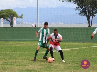 
<a style='margin-left: 5px;' class='btn btn-xs btn-social btn-facebook' href='https://www.facebook.com/sharer/sharer.php?u=https://www.boladovale.com.br/imgs/800-800-90/conteudo/fotos/1508/img1702.jpg' rel='popup' data-width='500' data-height='400'><i class='fa fa-facebook'></i>Compartilhar <span class='hidden-xs'>no Facebook</span>
</a> 
<a class='btn btn-default btn-xs' target='_blank' href='imgs/800-800-90/conteudo/fotos/1508/img1702.jpg'>
<span class='glyphicon glyphicon-cloud-download'></span> Salvar
</a> 
<span></span>