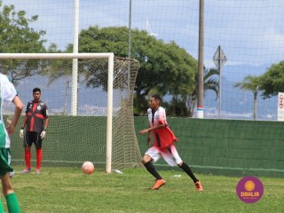 
<a style='margin-left: 5px;' class='btn btn-xs btn-social btn-facebook' href='https://www.facebook.com/sharer/sharer.php?u=https://www.boladovale.com.br/imgs/800-800-90/conteudo/fotos/1508/img1750.jpg' rel='popup' data-width='500' data-height='400'><i class='fa fa-facebook'></i>Compartilhar <span class='hidden-xs'>no Facebook</span>
</a> 
<a class='btn btn-default btn-xs' target='_blank' href='imgs/800-800-90/conteudo/fotos/1508/img1750.jpg'>
<span class='glyphicon glyphicon-cloud-download'></span> Salvar
</a> 
<span></span>