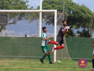
<a style='margin-left: 5px;' class='btn btn-xs btn-social btn-facebook' href='https://www.facebook.com/sharer/sharer.php?u=https://www.boladovale.com.br/imgs/800-800-90/conteudo/fotos/1508/img1752.jpg' rel='popup' data-width='500' data-height='400'><i class='fa fa-facebook'></i>Compartilhar <span class='hidden-xs'>no Facebook</span>
</a> 
<a class='btn btn-default btn-xs' target='_blank' href='imgs/800-800-90/conteudo/fotos/1508/img1752.jpg'>
<span class='glyphicon glyphicon-cloud-download'></span> Salvar
</a> 
<span></span>