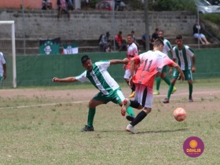 
<a style='margin-left: 5px;' class='btn btn-xs btn-social btn-facebook' href='https://www.facebook.com/sharer/sharer.php?u=https://www.boladovale.com.br/imgs/800-800-90/conteudo/fotos/1508/img1805.jpg' rel='popup' data-width='500' data-height='400'><i class='fa fa-facebook'></i>Compartilhar <span class='hidden-xs'>no Facebook</span>
</a> 
<a class='btn btn-default btn-xs' target='_blank' href='imgs/800-800-90/conteudo/fotos/1508/img1805.jpg'>
<span class='glyphicon glyphicon-cloud-download'></span> Salvar
</a> 
<span></span>