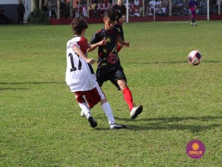 
<a style='margin-left: 5px;' class='btn btn-xs btn-social btn-facebook' href='https://www.facebook.com/sharer/sharer.php?u=https://www.boladovale.com.br/imgs/800-800-90/conteudo/fotos/1553/img1378.jpg' rel='popup' data-width='500' data-height='400'><i class='fa fa-facebook'></i>Compartilhar <span class='hidden-xs'>no Facebook</span>
</a> 
<a class='btn btn-default btn-xs' target='_blank' href='imgs/800-800-90/conteudo/fotos/1553/img1378.jpg'>
<span class='glyphicon glyphicon-cloud-download'></span> Salvar
</a> 
<span></span>