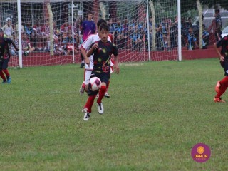 
<a style='margin-left: 5px;' class='btn btn-xs btn-social btn-facebook' href='https://www.facebook.com/sharer/sharer.php?u=https://www.boladovale.com.br/imgs/800-800-90/conteudo/fotos/1555/img1677.jpg' rel='popup' data-width='500' data-height='400'><i class='fa fa-facebook'></i>Compartilhar <span class='hidden-xs'>no Facebook</span>
</a> 
<a class='btn btn-default btn-xs' target='_blank' href='imgs/800-800-90/conteudo/fotos/1555/img1677.jpg'>
<span class='glyphicon glyphicon-cloud-download'></span> Salvar
</a> 
<span></span>