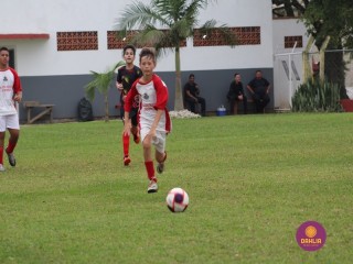 
<a style='margin-left: 5px;' class='btn btn-xs btn-social btn-facebook' href='https://www.facebook.com/sharer/sharer.php?u=https://www.boladovale.com.br/imgs/800-800-90/conteudo/fotos/1555/img1686.jpg' rel='popup' data-width='500' data-height='400'><i class='fa fa-facebook'></i>Compartilhar <span class='hidden-xs'>no Facebook</span>
</a> 
<a class='btn btn-default btn-xs' target='_blank' href='imgs/800-800-90/conteudo/fotos/1555/img1686.jpg'>
<span class='glyphicon glyphicon-cloud-download'></span> Salvar
</a> 
<span></span>