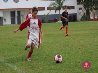 
<a style='margin-left: 5px;' class='btn btn-xs btn-social btn-facebook' href='https://www.facebook.com/sharer/sharer.php?u=https://www.boladovale.com.br/imgs/800-800-90/conteudo/fotos/1555/img1687.jpg' rel='popup' data-width='500' data-height='400'><i class='fa fa-facebook'></i>Compartilhar <span class='hidden-xs'>no Facebook</span>
</a> 
<a class='btn btn-default btn-xs' target='_blank' href='imgs/800-800-90/conteudo/fotos/1555/img1687.jpg'>
<span class='glyphicon glyphicon-cloud-download'></span> Salvar
</a> 
<span></span>