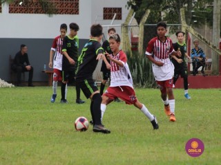 
<a style='margin-left: 5px;' class='btn btn-xs btn-social btn-facebook' href='https://www.facebook.com/sharer/sharer.php?u=https://www.boladovale.com.br/imgs/800-800-90/conteudo/fotos/1555/img1749.jpg' rel='popup' data-width='500' data-height='400'><i class='fa fa-facebook'></i>Compartilhar <span class='hidden-xs'>no Facebook</span>
</a> 
<a class='btn btn-default btn-xs' target='_blank' href='imgs/800-800-90/conteudo/fotos/1555/img1749.jpg'>
<span class='glyphicon glyphicon-cloud-download'></span> Salvar
</a> 
<span></span>