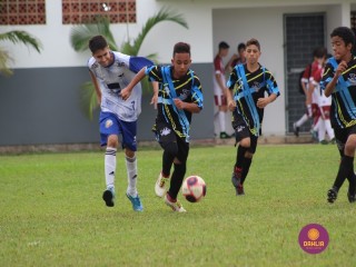 
<a style='margin-left: 5px;' class='btn btn-xs btn-social btn-facebook' href='https://www.facebook.com/sharer/sharer.php?u=https://www.boladovale.com.br/imgs/800-800-90/conteudo/fotos/1555/img1780.jpg' rel='popup' data-width='500' data-height='400'><i class='fa fa-facebook'></i>Compartilhar <span class='hidden-xs'>no Facebook</span>
</a> 
<a class='btn btn-default btn-xs' target='_blank' href='imgs/800-800-90/conteudo/fotos/1555/img1780.jpg'>
<span class='glyphicon glyphicon-cloud-download'></span> Salvar
</a> 
<span></span>
