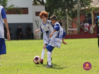 
<a style='margin-left: 5px;' class='btn btn-xs btn-social btn-facebook' href='https://www.facebook.com/sharer/sharer.php?u=https://www.boladovale.com.br/imgs/800-800-90/conteudo/fotos/1555/img1790.jpg' rel='popup' data-width='500' data-height='400'><i class='fa fa-facebook'></i>Compartilhar <span class='hidden-xs'>no Facebook</span>
</a> 
<a class='btn btn-default btn-xs' target='_blank' href='imgs/800-800-90/conteudo/fotos/1555/img1790.jpg'>
<span class='glyphicon glyphicon-cloud-download'></span> Salvar
</a> 
<span></span>