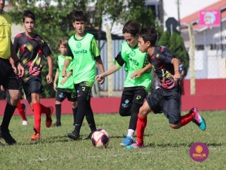
<a style='margin-left: 5px;' class='btn btn-xs btn-social btn-facebook' href='https://www.facebook.com/sharer/sharer.php?u=https://www.boladovale.com.br/imgs/800-800-90/conteudo/fotos/1555/img1804.jpg' rel='popup' data-width='500' data-height='400'><i class='fa fa-facebook'></i>Compartilhar <span class='hidden-xs'>no Facebook</span>
</a> 
<a class='btn btn-default btn-xs' target='_blank' href='imgs/800-800-90/conteudo/fotos/1555/img1804.jpg'>
<span class='glyphicon glyphicon-cloud-download'></span> Salvar
</a> 
<span></span>