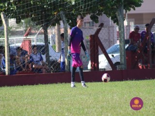 
<a style='margin-left: 5px;' class='btn btn-xs btn-social btn-facebook' href='https://www.facebook.com/sharer/sharer.php?u=https://www.boladovale.com.br/imgs/800-800-90/conteudo/fotos/1555/img1811.jpg' rel='popup' data-width='500' data-height='400'><i class='fa fa-facebook'></i>Compartilhar <span class='hidden-xs'>no Facebook</span>
</a> 
<a class='btn btn-default btn-xs' target='_blank' href='imgs/800-800-90/conteudo/fotos/1555/img1811.jpg'>
<span class='glyphicon glyphicon-cloud-download'></span> Salvar
</a> 
<span></span>