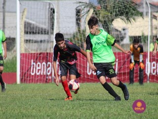 
<a style='margin-left: 5px;' class='btn btn-xs btn-social btn-facebook' href='https://www.facebook.com/sharer/sharer.php?u=https://www.boladovale.com.br/imgs/800-800-90/conteudo/fotos/1555/img1812.jpg' rel='popup' data-width='500' data-height='400'><i class='fa fa-facebook'></i>Compartilhar <span class='hidden-xs'>no Facebook</span>
</a> 
<a class='btn btn-default btn-xs' target='_blank' href='imgs/800-800-90/conteudo/fotos/1555/img1812.jpg'>
<span class='glyphicon glyphicon-cloud-download'></span> Salvar
</a> 
<span></span>