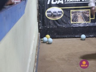 
<a style='margin-left: 5px;' class='btn btn-xs btn-social btn-facebook' href='https://www.facebook.com/sharer/sharer.php?u=https://www.boladovale.com.br/imgs/800-800-90/conteudo/fotos/1610/img0511.jpg' rel='popup' data-width='500' data-height='400'><i class='fa fa-facebook'></i>Compartilhar <span class='hidden-xs'>no Facebook</span>
</a> 
<a class='btn btn-default btn-xs' target='_blank' href='imgs/800-800-90/conteudo/fotos/1610/img0511.jpg'>
<span class='glyphicon glyphicon-cloud-download'></span> Salvar
</a> 
<span></span>