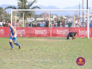 
<a style='margin-left: 5px;' class='btn btn-xs btn-social btn-facebook' href='https://www.facebook.com/sharer/sharer.php?u=https://www.boladovale.com.br/imgs/800-800-90/conteudo/fotos/1629/img4198.jpg' rel='popup' data-width='500' data-height='400'><i class='fa fa-facebook'></i>Compartilhar <span class='hidden-xs'>no Facebook</span>
</a> 
<a class='btn btn-default btn-xs' target='_blank' href='imgs/800-800-90/conteudo/fotos/1629/img4198.jpg'>
<span class='glyphicon glyphicon-cloud-download'></span> Salvar
</a> 
<span></span>