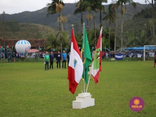 
<a style='margin-left: 5px;' class='btn btn-xs btn-social btn-facebook' href='https://www.facebook.com/sharer/sharer.php?u=https://www.boladovale.com.br/imgs/800-800-90/conteudo/fotos/1645/img9216.jpg' rel='popup' data-width='500' data-height='400'><i class='fa fa-facebook'></i>Compartilhar <span class='hidden-xs'>no Facebook</span>
</a> 
<a class='btn btn-default btn-xs' target='_blank' href='imgs/800-800-90/conteudo/fotos/1645/img9216.jpg'>
<span class='glyphicon glyphicon-cloud-download'></span> Salvar
</a> 
<span></span>