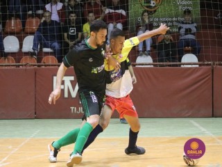 
<a style='margin-left: 5px;' class='btn btn-xs btn-social btn-facebook' href='https://www.facebook.com/sharer/sharer.php?u=https://www.boladovale.com.br/imgs/800-800-90/conteudo/fotos/1687/img0082.jpg' rel='popup' data-width='500' data-height='400'><i class='fa fa-facebook'></i>Compartilhar <span class='hidden-xs'>no Facebook</span>
</a> 
<a class='btn btn-default btn-xs' target='_blank' href='imgs/800-800-90/conteudo/fotos/1687/img0082.jpg'>
<span class='glyphicon glyphicon-cloud-download'></span> Salvar
</a> 
<span></span>