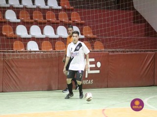 
<a style='margin-left: 5px;' class='btn btn-xs btn-social btn-facebook' href='https://www.facebook.com/sharer/sharer.php?u=https://www.boladovale.com.br/imgs/800-800-90/conteudo/fotos/1718/img2942.jpg' rel='popup' data-width='500' data-height='400'><i class='fa fa-facebook'></i>Compartilhar <span class='hidden-xs'>no Facebook</span>
</a> 
<a class='btn btn-default btn-xs' target='_blank' href='imgs/800-800-90/conteudo/fotos/1718/img2942.jpg'>
<span class='glyphicon glyphicon-cloud-download'></span> Salvar
</a> 
<span></span>