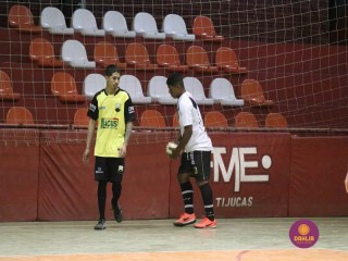 
<a style='margin-left: 5px;' class='btn btn-xs btn-social btn-facebook' href='https://www.facebook.com/sharer/sharer.php?u=https://www.boladovale.com.br/imgs/800-800-90/conteudo/fotos/1718/img2979.jpg' rel='popup' data-width='500' data-height='400'><i class='fa fa-facebook'></i>Compartilhar <span class='hidden-xs'>no Facebook</span>
</a> 
<a class='btn btn-default btn-xs' target='_blank' href='imgs/800-800-90/conteudo/fotos/1718/img2979.jpg'>
<span class='glyphicon glyphicon-cloud-download'></span> Salvar
</a> 
<span></span>
