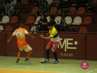 
<a style='margin-left: 5px;' class='btn btn-xs btn-social btn-facebook' href='https://www.facebook.com/sharer/sharer.php?u=https://www.boladovale.com.br/imgs/800-800-90/conteudo/fotos/1719/img7567.jpg' rel='popup' data-width='500' data-height='400'><i class='fa fa-facebook'></i>Compartilhar <span class='hidden-xs'>no Facebook</span>
</a> 
<a class='btn btn-default btn-xs' target='_blank' href='imgs/800-800-90/conteudo/fotos/1719/img7567.jpg'>
<span class='glyphicon glyphicon-cloud-download'></span> Salvar
</a> 
<span></span>