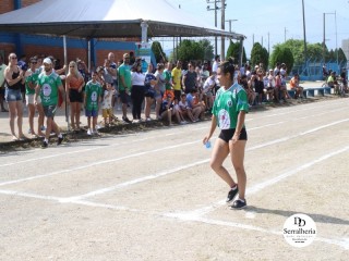 
<a style='margin-left: 5px;' class='btn btn-xs btn-social btn-facebook' href='https://www.facebook.com/sharer/sharer.php?u=https://www.boladovale.com.br/imgs/800-800-90/conteudo/fotos/1737/img8691.jpg' rel='popup' data-width='500' data-height='400'><i class='fa fa-facebook'></i>Compartilhar <span class='hidden-xs'>no Facebook</span>
</a> 
<a class='btn btn-default btn-xs' target='_blank' href='imgs/800-800-90/conteudo/fotos/1737/img8691.jpg'>
<span class='glyphicon glyphicon-cloud-download'></span> Salvar
</a> 
<span></span>