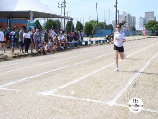 
<a style='margin-left: 5px;' class='btn btn-xs btn-social btn-facebook' href='https://www.facebook.com/sharer/sharer.php?u=https://www.boladovale.com.br/imgs/800-800-90/conteudo/fotos/1737/img8719.jpg' rel='popup' data-width='500' data-height='400'><i class='fa fa-facebook'></i>Compartilhar <span class='hidden-xs'>no Facebook</span>
</a> 
<a class='btn btn-default btn-xs' target='_blank' href='imgs/800-800-90/conteudo/fotos/1737/img8719.jpg'>
<span class='glyphicon glyphicon-cloud-download'></span> Salvar
</a> 
<span></span>
