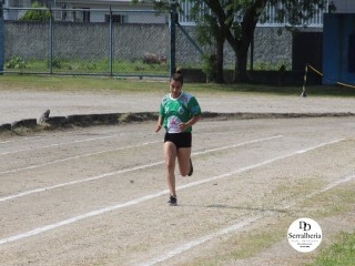
<a style='margin-left: 5px;' class='btn btn-xs btn-social btn-facebook' href='https://www.facebook.com/sharer/sharer.php?u=https://www.boladovale.com.br/imgs/800-800-90/conteudo/fotos/1737/img9351.jpg' rel='popup' data-width='500' data-height='400'><i class='fa fa-facebook'></i>Compartilhar <span class='hidden-xs'>no Facebook</span>
</a> 
<a class='btn btn-default btn-xs' target='_blank' href='imgs/800-800-90/conteudo/fotos/1737/img9351.jpg'>
<span class='glyphicon glyphicon-cloud-download'></span> Salvar
</a> 
<span></span>