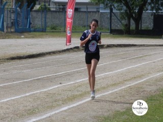 
<a style='margin-left: 5px;' class='btn btn-xs btn-social btn-facebook' href='https://www.facebook.com/sharer/sharer.php?u=https://www.boladovale.com.br/imgs/800-800-90/conteudo/fotos/1737/img9426.jpg' rel='popup' data-width='500' data-height='400'><i class='fa fa-facebook'></i>Compartilhar <span class='hidden-xs'>no Facebook</span>
</a> 
<a class='btn btn-default btn-xs' target='_blank' href='imgs/800-800-90/conteudo/fotos/1737/img9426.jpg'>
<span class='glyphicon glyphicon-cloud-download'></span> Salvar
</a> 
<span></span>