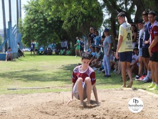 
<a style='margin-left: 5px;' class='btn btn-xs btn-social btn-facebook' href='https://www.facebook.com/sharer/sharer.php?u=https://www.boladovale.com.br/imgs/800-800-90/conteudo/fotos/1740/img9083.jpg' rel='popup' data-width='500' data-height='400'><i class='fa fa-facebook'></i>Compartilhar <span class='hidden-xs'>no Facebook</span>
</a> 
<a class='btn btn-default btn-xs' target='_blank' href='imgs/800-800-90/conteudo/fotos/1740/img9083.jpg'>
<span class='glyphicon glyphicon-cloud-download'></span> Salvar
</a> 
<span></span>