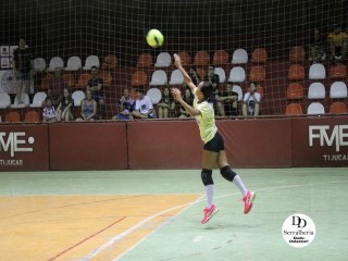 
<a style='margin-left: 5px;' class='btn btn-xs btn-social btn-facebook' href='https://www.facebook.com/sharer/sharer.php?u=https://www.boladovale.com.br/imgs/800-800-90/conteudo/fotos/1749/img0172.jpg' rel='popup' data-width='500' data-height='400'><i class='fa fa-facebook'></i>Compartilhar <span class='hidden-xs'>no Facebook</span>
</a> 
<a class='btn btn-default btn-xs' target='_blank' href='imgs/800-800-90/conteudo/fotos/1749/img0172.jpg'>
<span class='glyphicon glyphicon-cloud-download'></span> Salvar
</a> 
<span></span>