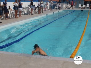 
<a style='margin-left: 5px;' class='btn btn-xs btn-social btn-facebook' href='https://www.facebook.com/sharer/sharer.php?u=https://www.boladovale.com.br/imgs/800-800-90/conteudo/fotos/1765/img1276.jpg' rel='popup' data-width='500' data-height='400'><i class='fa fa-facebook'></i>Compartilhar <span class='hidden-xs'>no Facebook</span>
</a> 
<a class='btn btn-default btn-xs' target='_blank' href='imgs/800-800-90/conteudo/fotos/1765/img1276.jpg'>
<span class='glyphicon glyphicon-cloud-download'></span> Salvar
</a> 
<span></span>