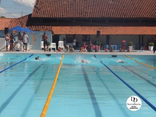 
<a style='margin-left: 5px;' class='btn btn-xs btn-social btn-facebook' href='https://www.facebook.com/sharer/sharer.php?u=https://www.boladovale.com.br/imgs/800-800-90/conteudo/fotos/1765/img1320.jpg' rel='popup' data-width='500' data-height='400'><i class='fa fa-facebook'></i>Compartilhar <span class='hidden-xs'>no Facebook</span>
</a> 
<a class='btn btn-default btn-xs' target='_blank' href='imgs/800-800-90/conteudo/fotos/1765/img1320.jpg'>
<span class='glyphicon glyphicon-cloud-download'></span> Salvar
</a> 
<span></span>