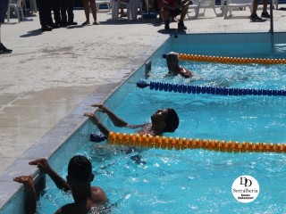 
<a style='margin-left: 5px;' class='btn btn-xs btn-social btn-facebook' href='https://www.facebook.com/sharer/sharer.php?u=https://www.boladovale.com.br/imgs/800-800-90/conteudo/fotos/1765/img1438-101.jpg' rel='popup' data-width='500' data-height='400'><i class='fa fa-facebook'></i>Compartilhar <span class='hidden-xs'>no Facebook</span>
</a> 
<a class='btn btn-default btn-xs' target='_blank' href='imgs/800-800-90/conteudo/fotos/1765/img1438-101.jpg'>
<span class='glyphicon glyphicon-cloud-download'></span> Salvar
</a> 
<span></span>