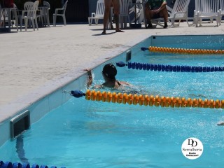 
<a style='margin-left: 5px;' class='btn btn-xs btn-social btn-facebook' href='https://www.facebook.com/sharer/sharer.php?u=https://www.boladovale.com.br/imgs/800-800-90/conteudo/fotos/1765/img1438-12.jpg' rel='popup' data-width='500' data-height='400'><i class='fa fa-facebook'></i>Compartilhar <span class='hidden-xs'>no Facebook</span>
</a> 
<a class='btn btn-default btn-xs' target='_blank' href='imgs/800-800-90/conteudo/fotos/1765/img1438-12.jpg'>
<span class='glyphicon glyphicon-cloud-download'></span> Salvar
</a> 
<span></span>