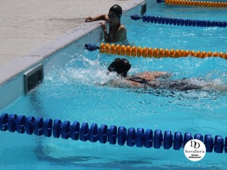 
<a style='margin-left: 5px;' class='btn btn-xs btn-social btn-facebook' href='https://www.facebook.com/sharer/sharer.php?u=https://www.boladovale.com.br/imgs/800-800-90/conteudo/fotos/1765/img1438-13.jpg' rel='popup' data-width='500' data-height='400'><i class='fa fa-facebook'></i>Compartilhar <span class='hidden-xs'>no Facebook</span>
</a> 
<a class='btn btn-default btn-xs' target='_blank' href='imgs/800-800-90/conteudo/fotos/1765/img1438-13.jpg'>
<span class='glyphicon glyphicon-cloud-download'></span> Salvar
</a> 
<span></span>