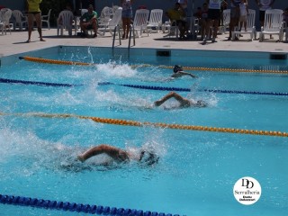 
<a style='margin-left: 5px;' class='btn btn-xs btn-social btn-facebook' href='https://www.facebook.com/sharer/sharer.php?u=https://www.boladovale.com.br/imgs/800-800-90/conteudo/fotos/1765/img1438-2.jpg' rel='popup' data-width='500' data-height='400'><i class='fa fa-facebook'></i>Compartilhar <span class='hidden-xs'>no Facebook</span>
</a> 
<a class='btn btn-default btn-xs' target='_blank' href='imgs/800-800-90/conteudo/fotos/1765/img1438-2.jpg'>
<span class='glyphicon glyphicon-cloud-download'></span> Salvar
</a> 
<span></span>