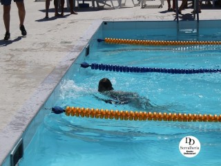 
<a style='margin-left: 5px;' class='btn btn-xs btn-social btn-facebook' href='https://www.facebook.com/sharer/sharer.php?u=https://www.boladovale.com.br/imgs/800-800-90/conteudo/fotos/1765/img1438-30.jpg' rel='popup' data-width='500' data-height='400'><i class='fa fa-facebook'></i>Compartilhar <span class='hidden-xs'>no Facebook</span>
</a> 
<a class='btn btn-default btn-xs' target='_blank' href='imgs/800-800-90/conteudo/fotos/1765/img1438-30.jpg'>
<span class='glyphicon glyphicon-cloud-download'></span> Salvar
</a> 
<span></span>