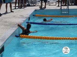 
<a style='margin-left: 5px;' class='btn btn-xs btn-social btn-facebook' href='https://www.facebook.com/sharer/sharer.php?u=https://www.boladovale.com.br/imgs/800-800-90/conteudo/fotos/1765/img1438-31.jpg' rel='popup' data-width='500' data-height='400'><i class='fa fa-facebook'></i>Compartilhar <span class='hidden-xs'>no Facebook</span>
</a> 
<a class='btn btn-default btn-xs' target='_blank' href='imgs/800-800-90/conteudo/fotos/1765/img1438-31.jpg'>
<span class='glyphicon glyphicon-cloud-download'></span> Salvar
</a> 
<span></span>
