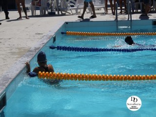 
<a style='margin-left: 5px;' class='btn btn-xs btn-social btn-facebook' href='https://www.facebook.com/sharer/sharer.php?u=https://www.boladovale.com.br/imgs/800-800-90/conteudo/fotos/1765/img1438-46.jpg' rel='popup' data-width='500' data-height='400'><i class='fa fa-facebook'></i>Compartilhar <span class='hidden-xs'>no Facebook</span>
</a> 
<a class='btn btn-default btn-xs' target='_blank' href='imgs/800-800-90/conteudo/fotos/1765/img1438-46.jpg'>
<span class='glyphicon glyphicon-cloud-download'></span> Salvar
</a> 
<span></span>